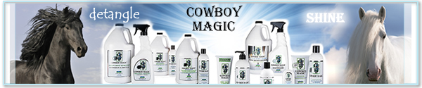 Image result for cowboy magic